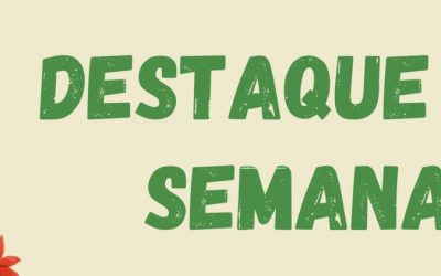 GREENPEACE: Mês de abril termina com mobilização indígena, Cúpula do Clima e aniversário do Greenpeace BR