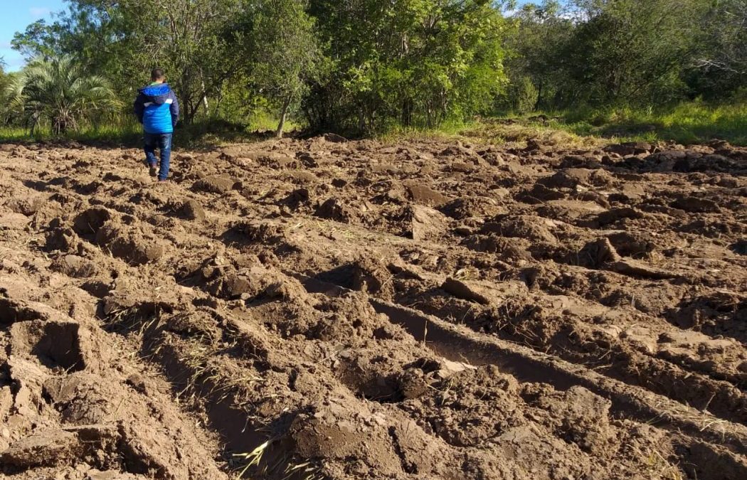 CIMI: Comissão Guarani Yvyrupa e o povo Mbya Guarani denunciam novo ataque de invasores ao tekoha Pindó Poty