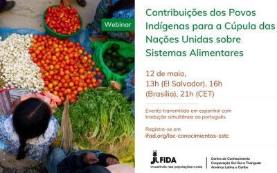 ONU BRASIL: Webinar apresenta contribuições dos povos indígenas sobre sistemas alimentares