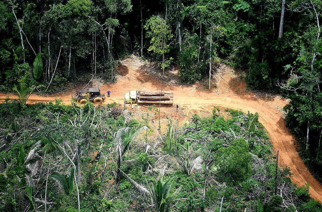 GREENPEACE: Povo Karipuna processa União, Funai e estado de Rondônia por invasões e devastação da terra indígena