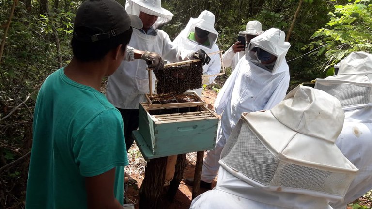 FUNAI: Funai apoia produção de mel em aldeia do Mato Grosso do Sul