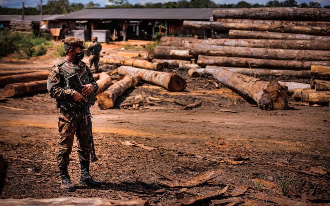 DEFESA: Operação Verde Brasil 2 encerra com queda no desmatamento