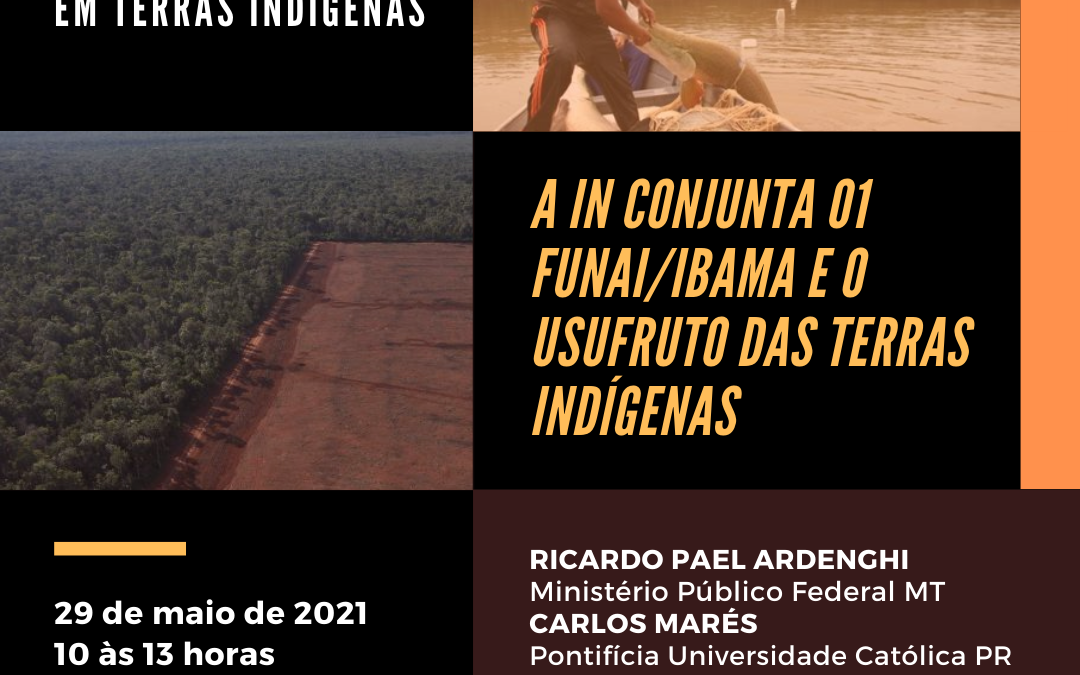 INA: INA debate o usufruto exclusivo das Terras Indígenas e as ameaças da IN Conjunta nº 01 Funai/Ibama