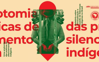 APIB: UMA ANATOMIA DAS PRÁTICAS DE SILENCIAMENTO INDÍGENA