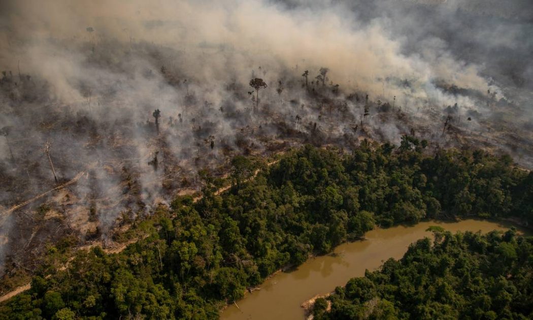 CIMI: Organizações posicionam-se contra redução de unidades de conservação em Rondônia
