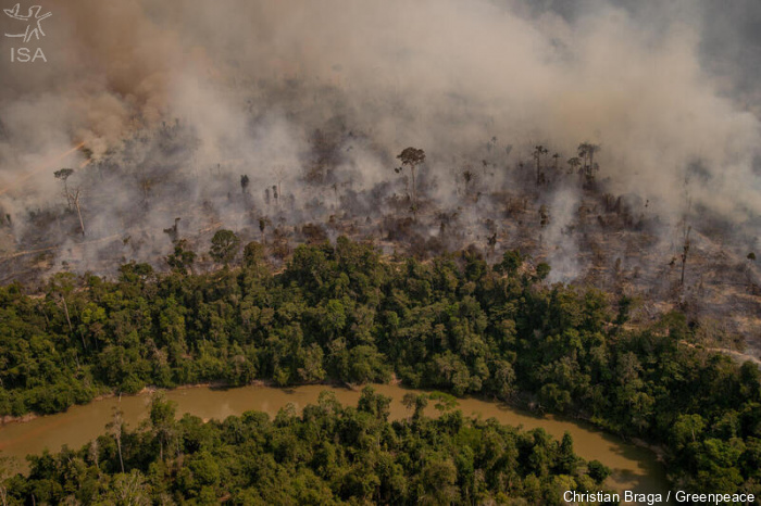 ISA: Para salvar 200 mil hectares de floresta, organizações pressionam governo de Rondônia