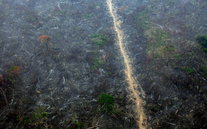 ISA: Mesmo antes de aprovado, PL da Grilagem está destruindo a Amazônia