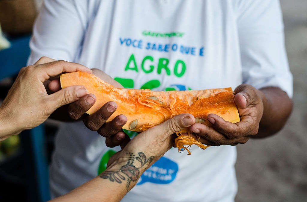 GREENPEACE: Agroecologia contra a fome: Parque das tribos recebe 700 quilos de alimento de verdade
