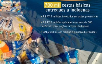 FUNAI: Covid-19: Funai atinge a marca de 700 mil cestas básicas distribuídas a indígenas em todo o país