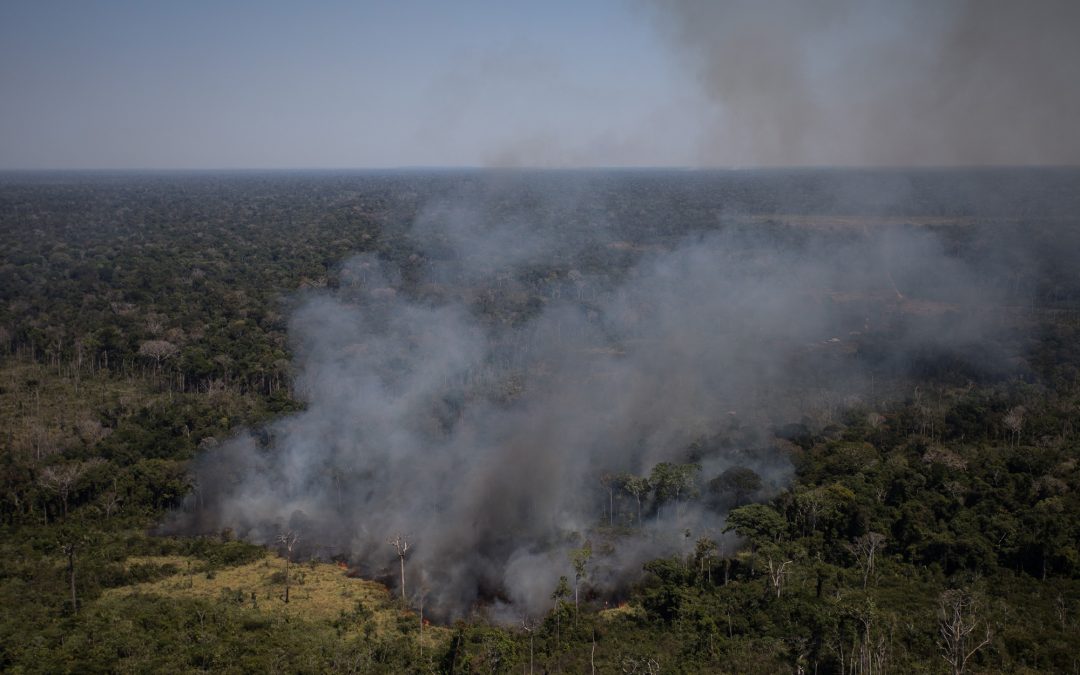 AMAZÔNIA REAL: Floresta Amazônica perdeu quase 100 hectares por hora