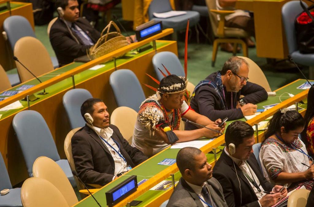 IEPÉ: Iepé obtém status consultivo especial na ONU