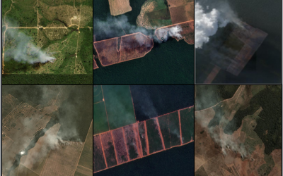 GREENPEACE: Maio registra maior número de queimadas na Amazônia e Cerrado desde 2007