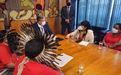 CIMI: Lideranças reúnem-se com presidente da Câmara e pedem arquivamento de projetos anti-indígenas