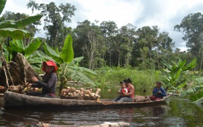 ISA: Sem roça, peixe e minhoca: cheia recorde no Rio Negro expõe impacto sistêmico das mudanças climáticas