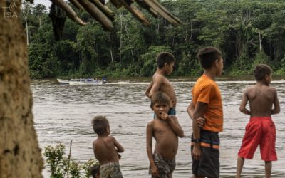 ISA: Terra Yanomami completa um mês sob ataques de garimpeiros e sem proteção do Estado