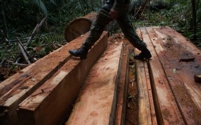 ISA: Desmatamento na Terra Indígena Uru-Eu-Wau-Wau, com presença de isolados, tem aumento de 140%