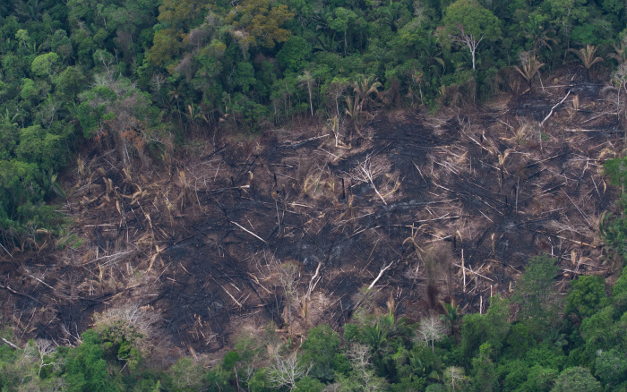 ISA: Desmatamento na Terra Uru-Eu-Wau-Wau cresce 133% e coloca indígenas isolados em risco