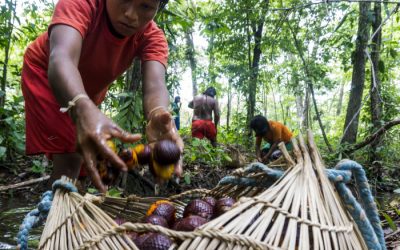 ISA: De pé, com um fósforo na mão, na frente da Biblioteca de Alexandria…