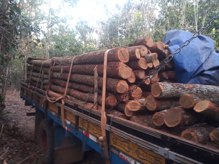 FUNAI: Funai participa de fiscalização em Terra Indígena no estado de Rondônia