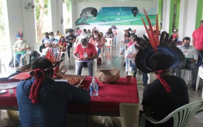 CIR: Conselho Indígena de Roraima realiza I Reunião Ampliada Deliberativa de 2021