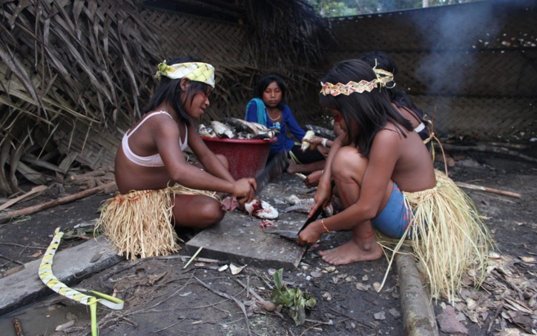 RBA: Tenente da Funai sugere ‘meter fogo’ em indígenas isolados e agrava conflito no Amazonas