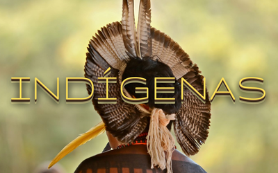 MPF: MPF e DPU acionam União e governo de Mato Grosso para que vacinem indígenas residentes em áreas urbanas