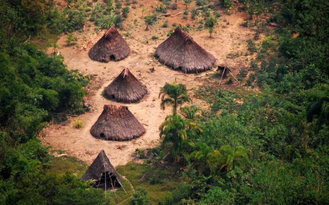 SURVIVAL: Grande vitória: terra de indígenas isolados é demarcada no Peru