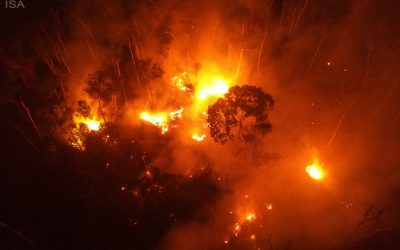 ISA: Na Amazônia, o pior ainda está por vir