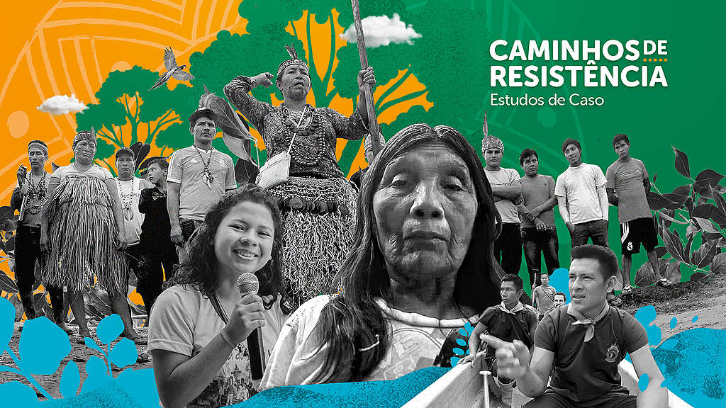 GREENPEACE: Em defesa dos territórios! Conheça quatro histórias recentes e bem sucedidas de luta pela terra na América do Sul