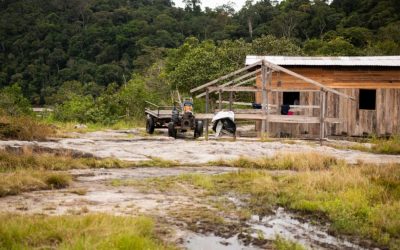 CIMI: Brasília comanda avanços de garimpos e desmatamentos no Brasil (Parte I)