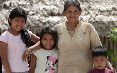 ONU BRASIL: Chefe da ONU pede “novo contrato social” que ponha fim às desigualdades enfrentadas por povos indígenas