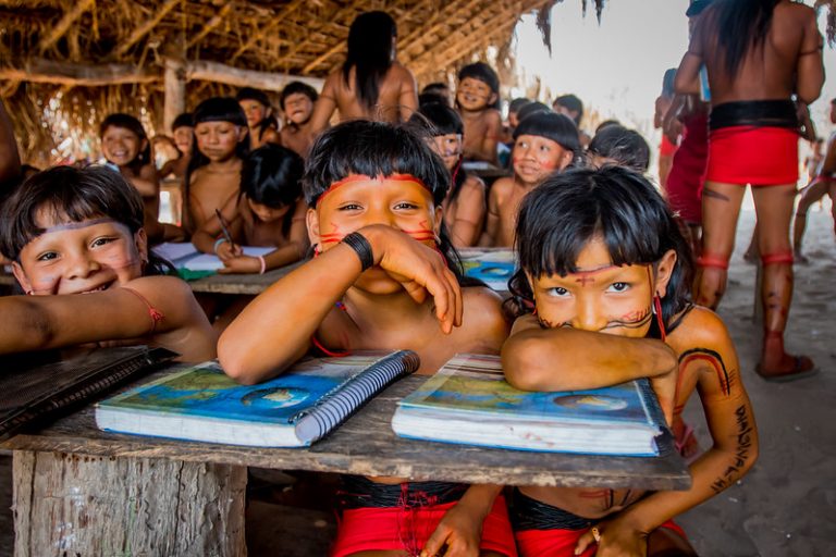 CÂMARA: Comissão avalia assistência dada a estudantes indígenas durante a pandemia