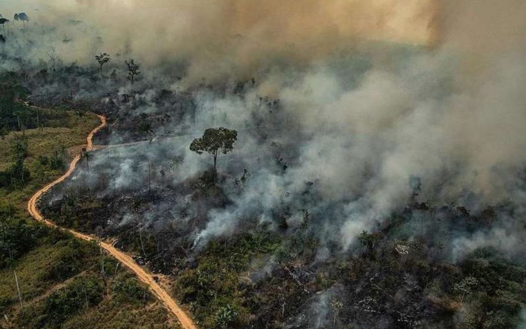 APIB: Coalizão Florestas & Finanças alerta investidores estrangeiros sobre risco da pauta antiambiental no Congresso brasileiro