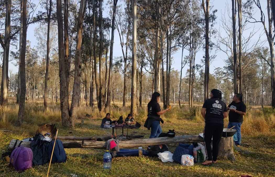 CIMI: Povos indígenas retomam território na Floresta Estadual Metropolitana, em Piraquara (PR)