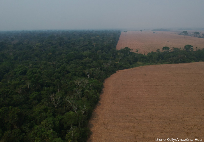 ISA: Isolados em perigo: desmatamento na Terra Indígena Uru-Eu-Wau-Wau dobra em junho