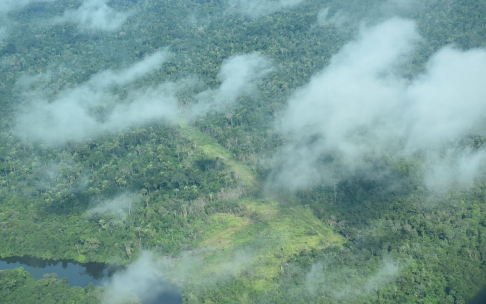 ISA: Xingu fecha primeiro semestre com piores taxas de desmatamento em três anos