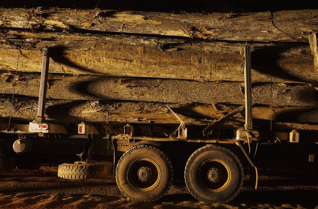 FOLHA DE S. PAULO: Amazônia tem área de madeira explorada do tamanho de três cidades de São Paulo