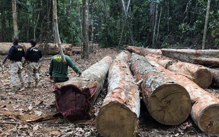 FUNAI: Funai participa de operação de combate ao desmatamento em Terras Indígenas do AM e RO