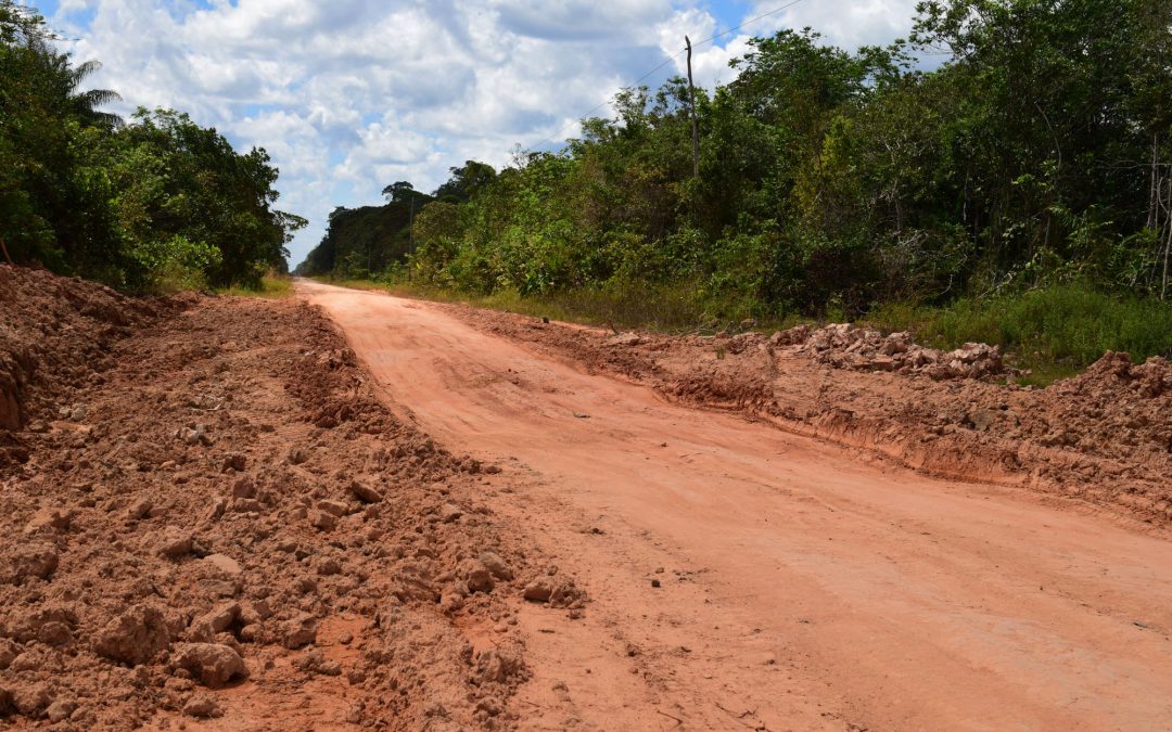 AMAZÔNIA REAL: Estradas na Amazônia: um mal?