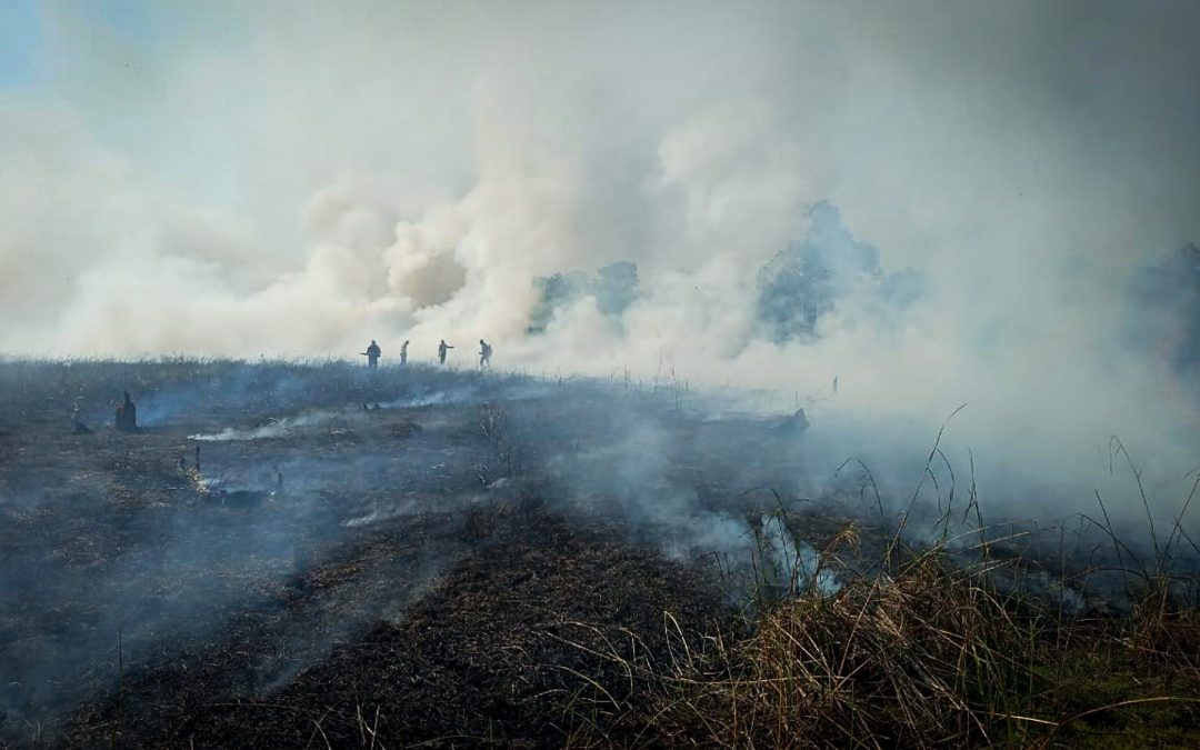 AMAZÔNIA REAL: Brigadas voluntárias lutam contra fogo no Xingu