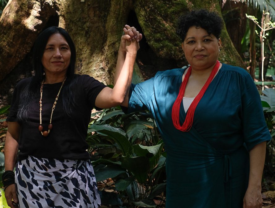 AMAZÔNIA REAL: Documentário revela a ‘visão de dentro’ da Amazônia Real