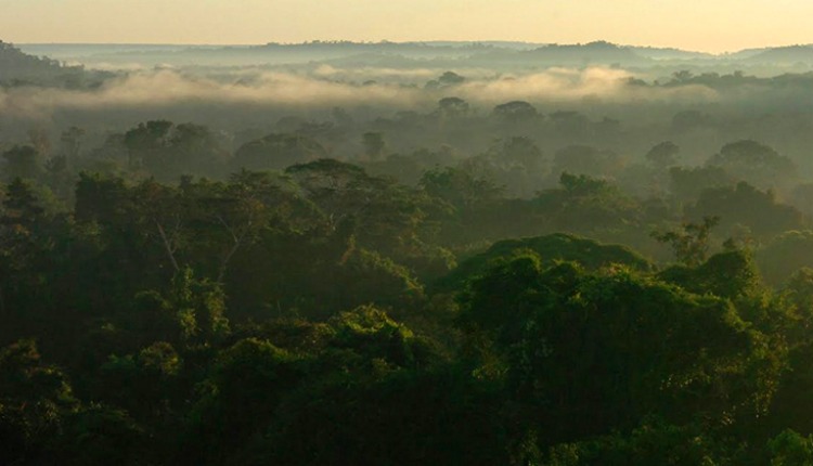 AMAZÔNIA NOTÍCIA E INFORMAÇÃO: UNESCO E AMAZONAS LANÇAM PLANO DE AÇÃO PARA AMAZÔNIA CENTRAL