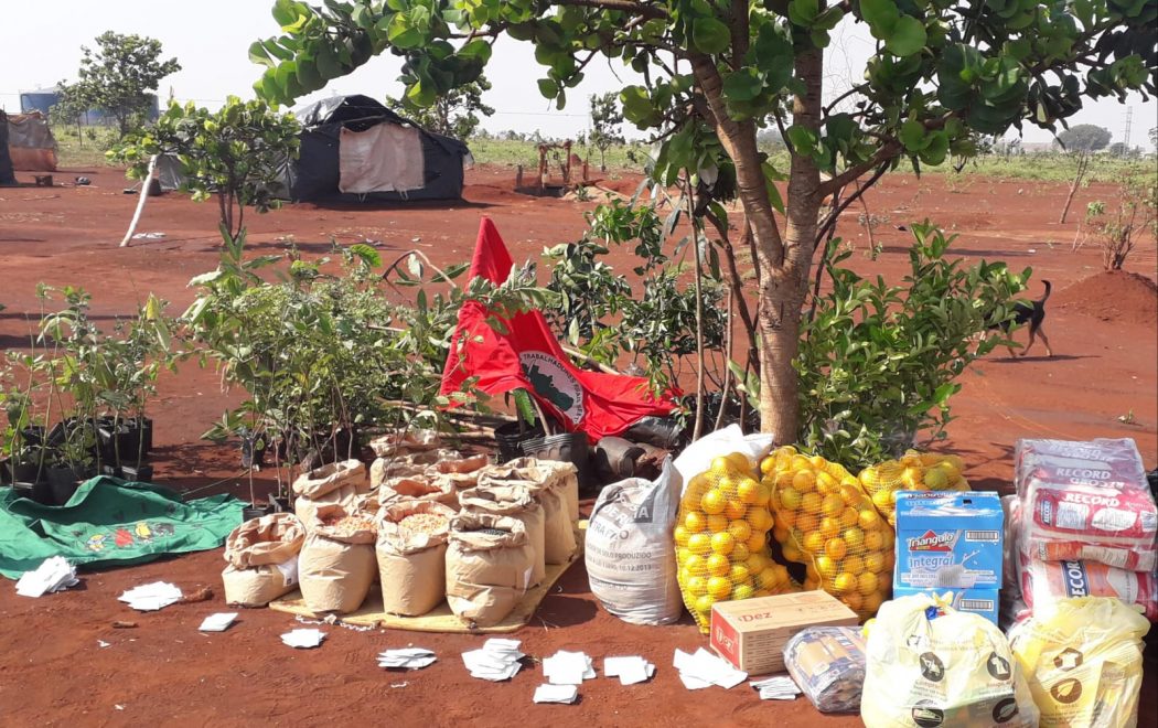 CIMI: Após série de ataques em Dourados (MS), comunidades Guarani e Kaiowá recebem alimentos, mudas e sementes