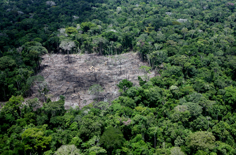AMAZÔNIA NOTÍCIA E INFORMAÇÃO: TERRA INDÍGENA NO ACRE É FREIO PARA O DESMATAMENTO E PODE COMEÇAR A GERAR CRÉDITOS DE CARBONO