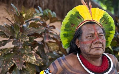 CONGRESSO EM FOCO: Para atender STF, governo quer dar cestas básicas com rosquinhas a indígenas