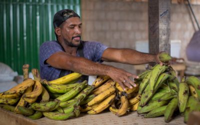 ISA: Beiradeiros e indígenas do Xingu distribuem 5t de alimentos contra a fome e a Covid-19 em Altamira (PA)