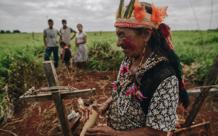 ISA: Mato Grosso do Sul é campeão de conflitos com indígenas, mas também em concentração de terras