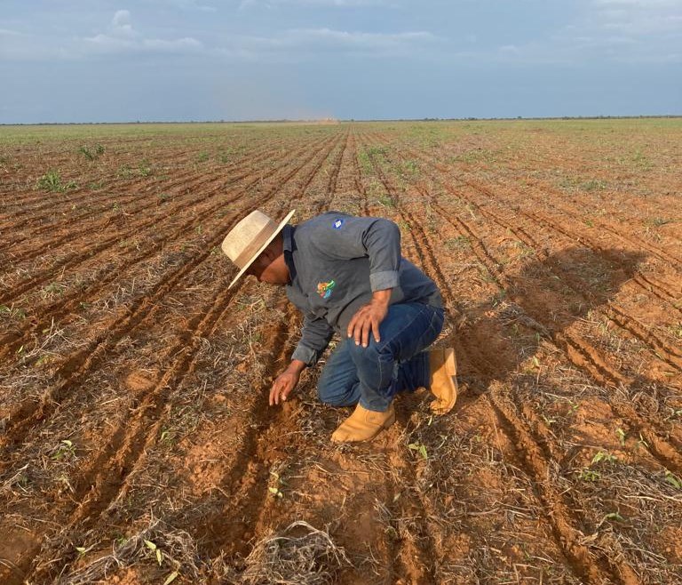 FUNAI: Indígenas Paresi, Nambikwara e Manoki iniciam plantio da safra de soja convencional no Mato Grosso