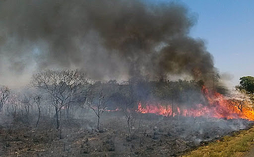 BRASIL DE FATO: Terra indígena que mais queima em 2021 enfrenta avanço da pecuária, desmatamento e pesca ilegal