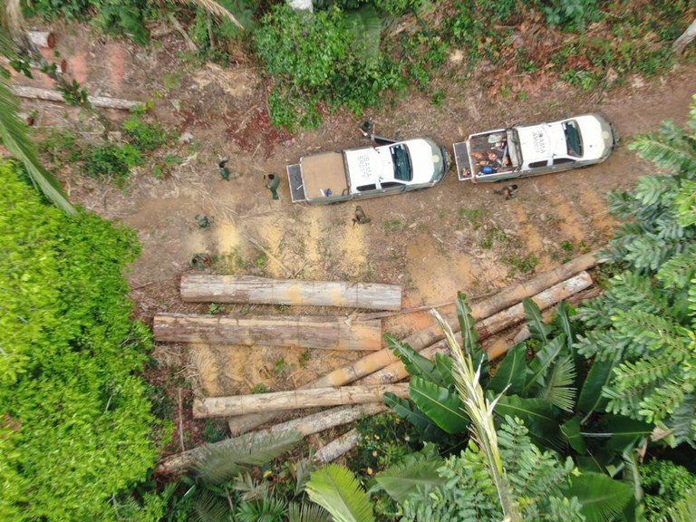 FUNAI: Com participação da Funai, operação apreende 2,1 mil m³ de madeira na Amazônia